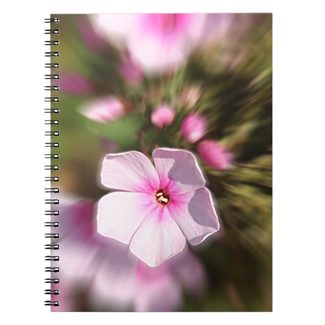 Carnet Périwinkle (Devant)