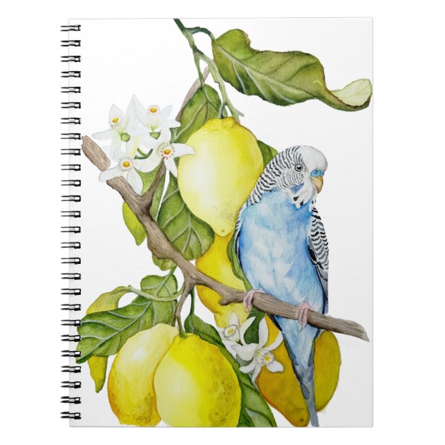 Carnet Perroquet bleu dans l'arbre à citrons - Art botani (Devant)