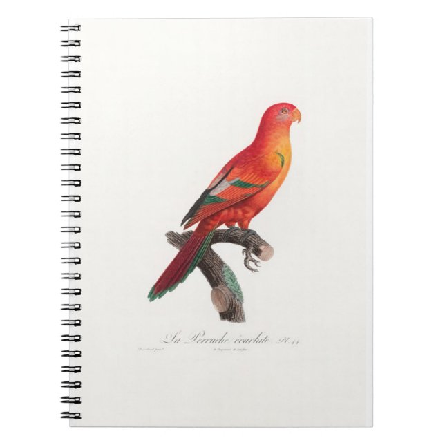 Carnet perroquet de macaw (Devant)
