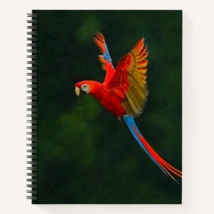 Carnet Perroquet en vol