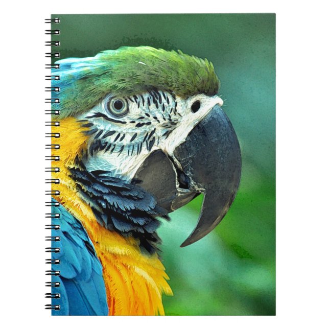 Carnet Perroquet macaou coloré (Devant)