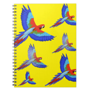 Carnet perroquet Mikitiez hawaii summersunset plage print