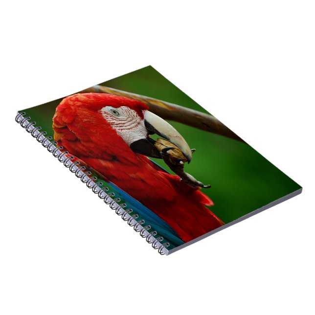 Carnet Perroquet rouge tropical (Côté Droit)