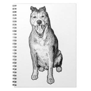 Carnet Personnage assis pointillé ombré