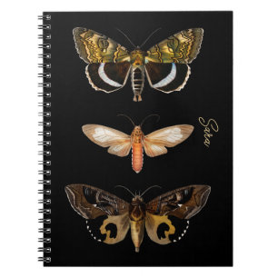 Carnet personnalisé Papillon de nuit vintage