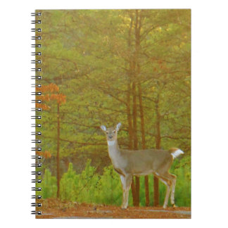 Carnet Personnaliser