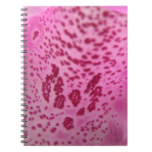 Carnet pétal rose Foxglove
