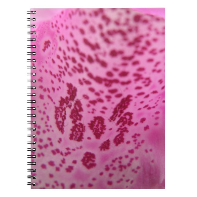 Carnet pétal rose Foxglove (Devant)