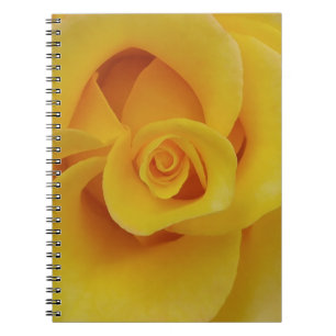 Carnet Pétales romantiques de rose jaune