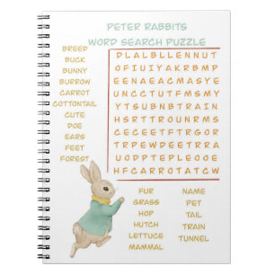 Carnet Peter Rabbit Anniversaire de enfant&Game