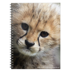 Carnet Petit animal de guépard