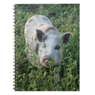 Carnet Petit cochon de marionnettes de Juliana