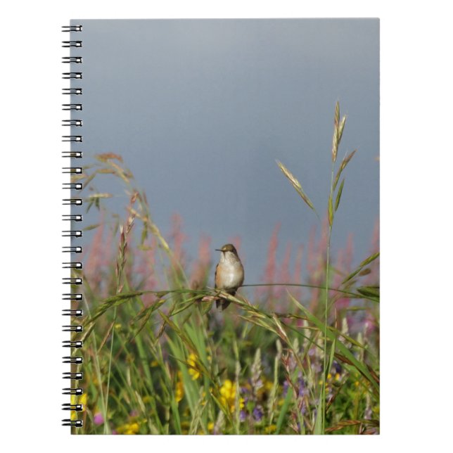 Carnet Petit colibri gras (Devant)