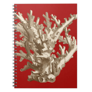 Carnet Petit corail en rouge