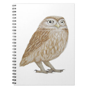 Carnet Petit hibou 2011