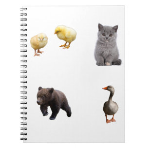 Carnet Petit ours tout-petit, jolis amis animaux