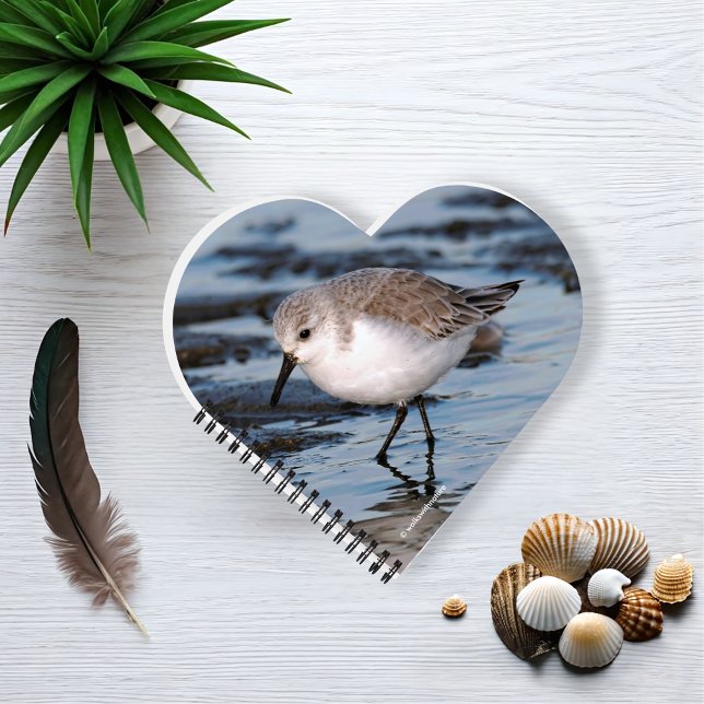 Carnet Petit Sanderling mignon à la plage (Sanderling Strolling on the Winter Beach Journal Beach)