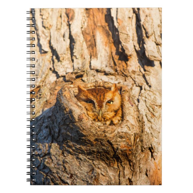 Carnet Petite chouette des terriers (Devant)
