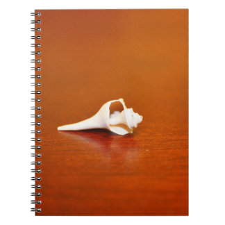 Carnet Petite coque