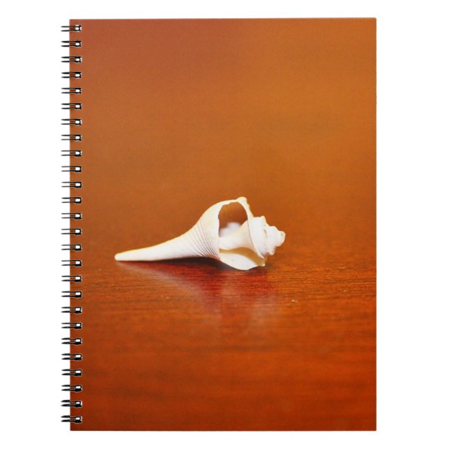 Carnet Petite coque (Devant)