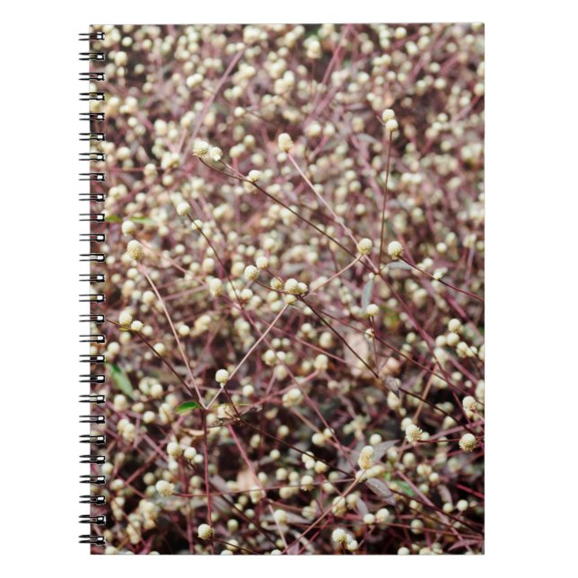 Carnet Petite petite boule mignonne en forme de buisson b (Devant)