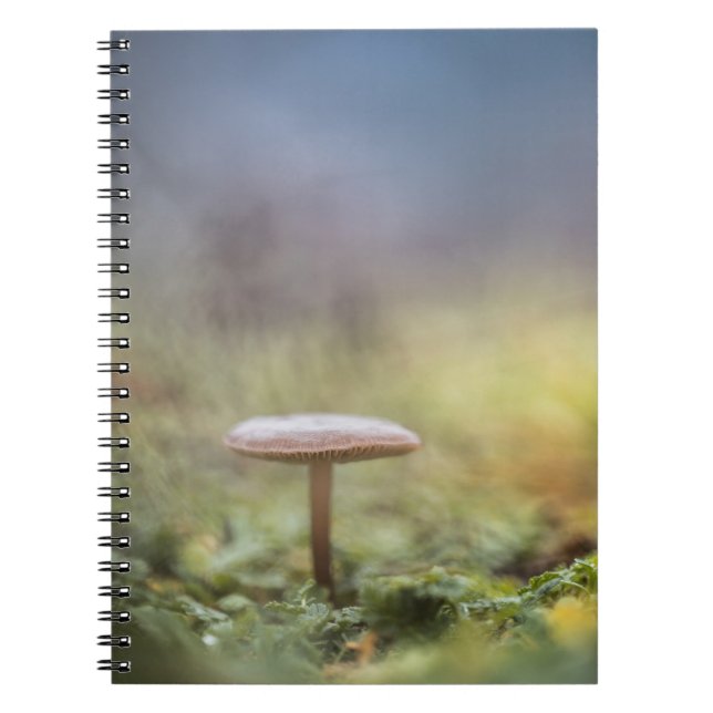 Carnet Petite photo de la nature des champignons (Devant)