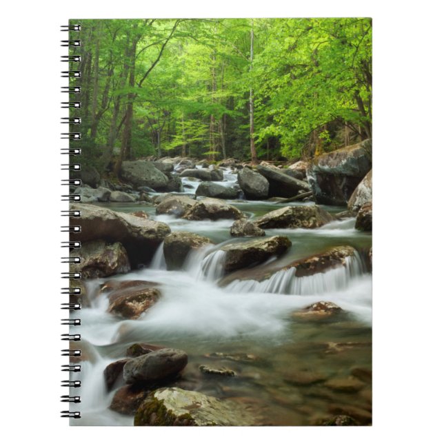 Carnet Petite rivière Pigeon à Greenbrier (Devant)