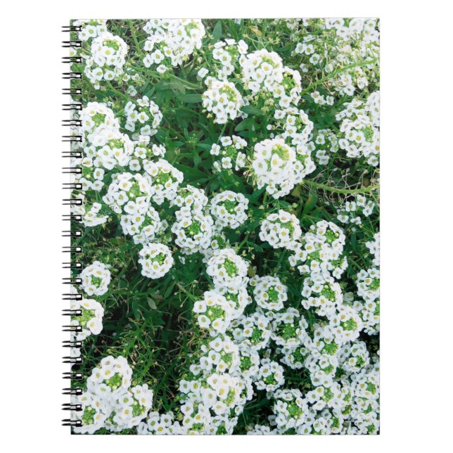 Carnet Petites fleurs blanches dans l'herbe en journée à (Devant)