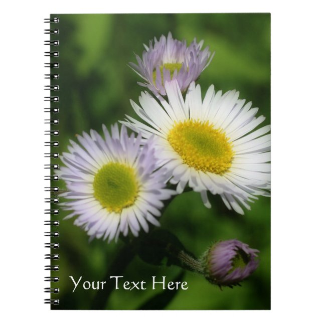 Carnet Petites marguerites Fleabane Nature (Devant)