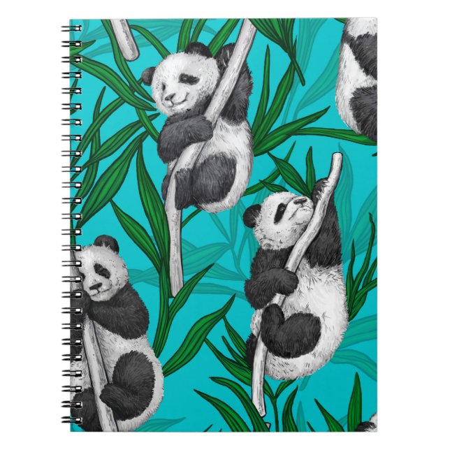 Carnet Petits panda turquoise (Devant)