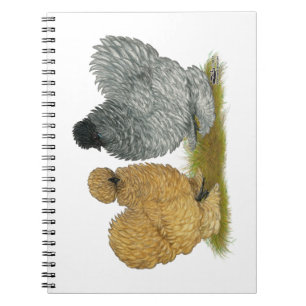 Carnet Petits poulets