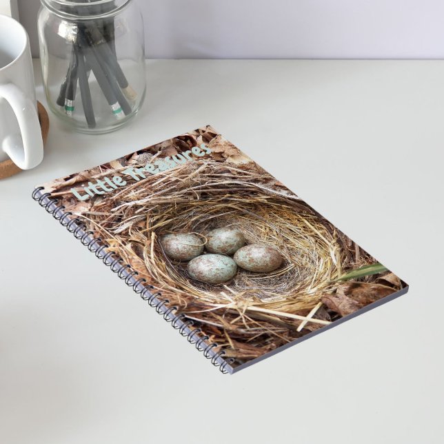 Carnet Petits Trésors Œufs de Nid d'Oiseau (In Situ)