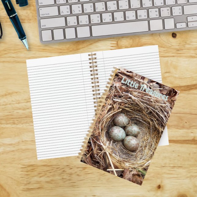 Carnet Petits Trésors Œufs de Nid d'Oiseau (In Situ)