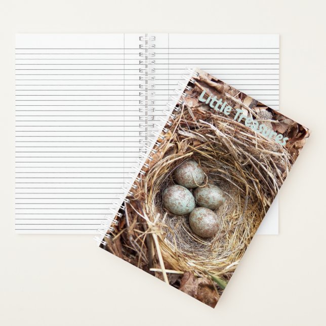 Carnet Petits trésors OEufs de nid d'oiseaux (À l'intérieur)