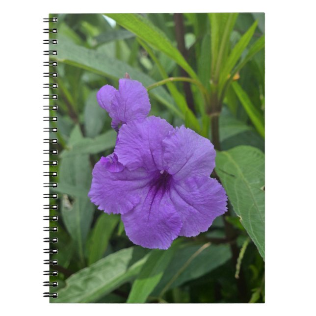 Carnet Petunia mexicain (Devant)