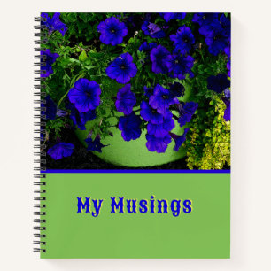 CARNET PETUNIAS BLEU EN POT VERT