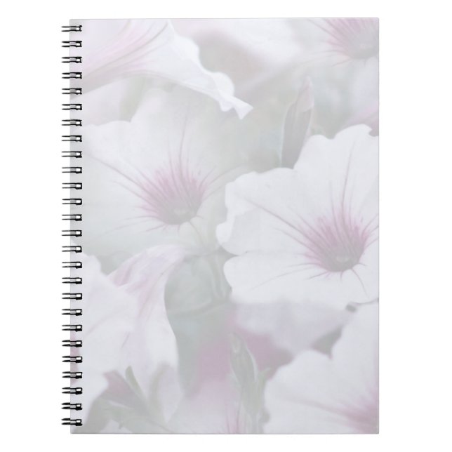 Carnet Pétunias Rose Et Blanc (Devant)