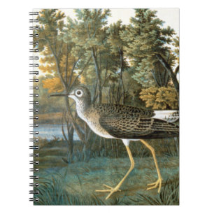 Carnet Peu de Yellowlegs