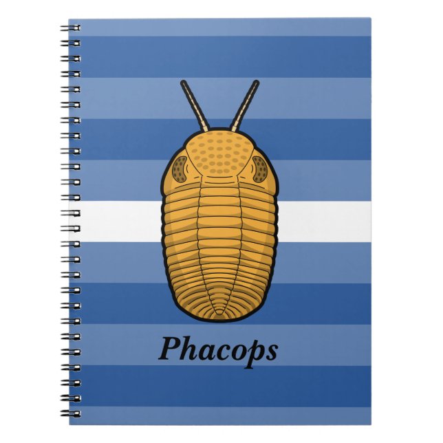Carnet Phacops Trilobite - Animal préhistorique (Devant)
