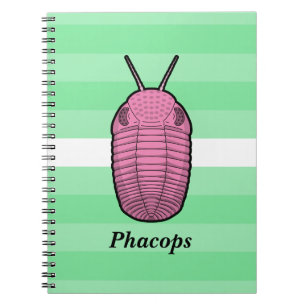 Carnet Phacops Trilobite - Animal préhistorique