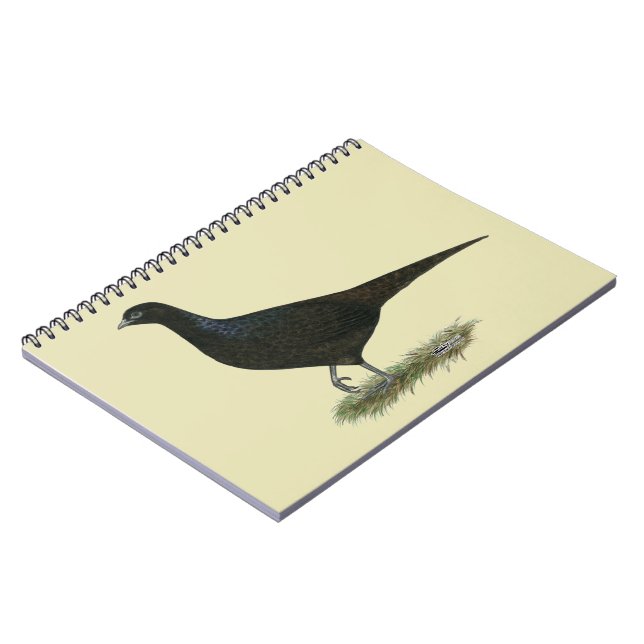 Carnet Pheasant noir Hen (Côté gauche)