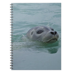 Carnet Phoque marin nageant dans le lac glaciaire Jokulsa