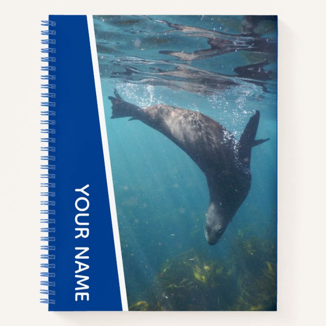 Carnet Phoque Nageant Sous L'eau, Australie, Bleu (Devant)