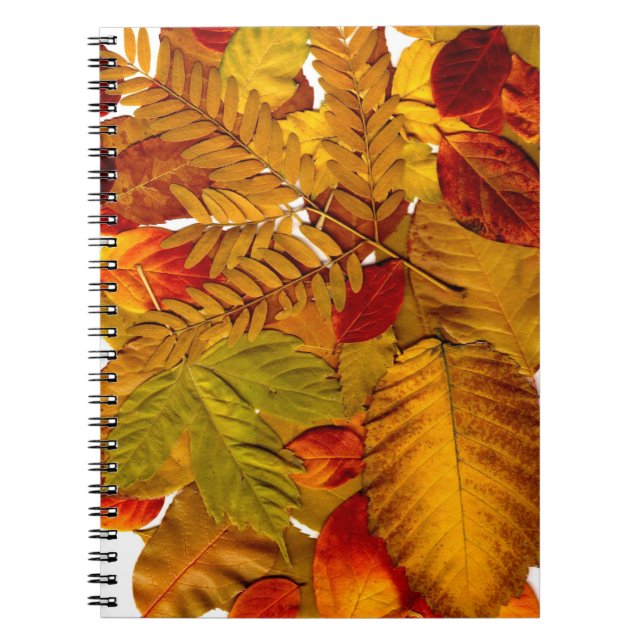 Carnet photo (80 pages B&W) (Devant)