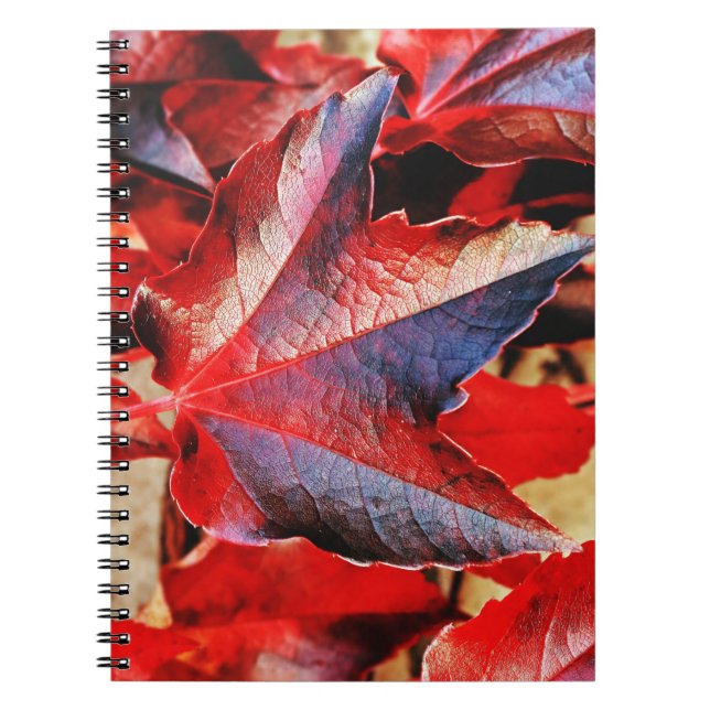 Carnet photo (80 pages B&W) (Devant)