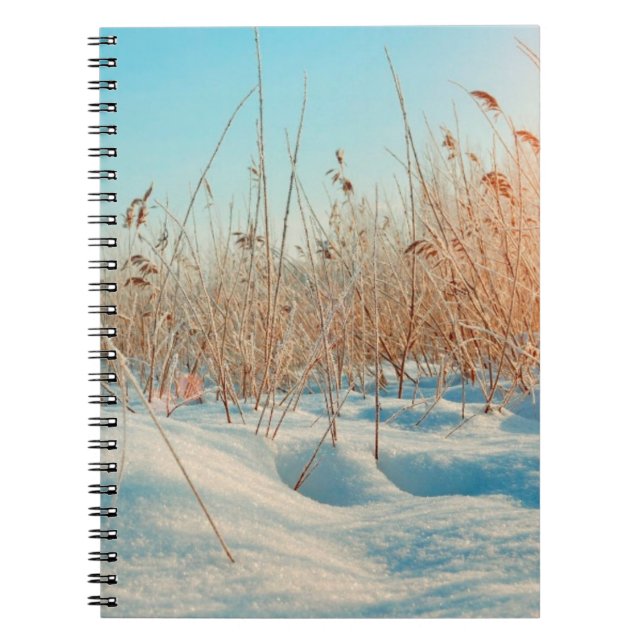 Carnet photo (80 pages B&W) (Devant)