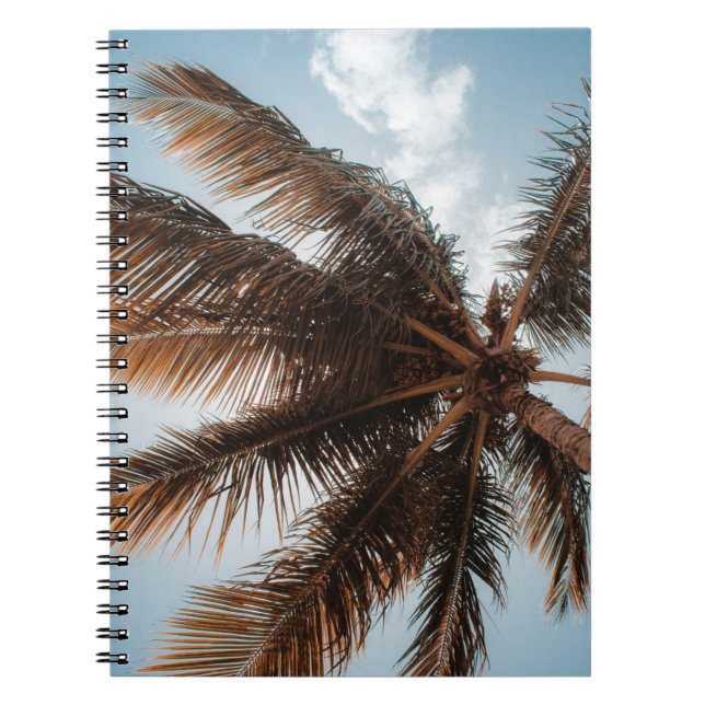 Carnet Photo à petit angle de cocotier (Devant)