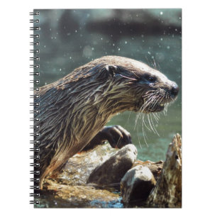 Carnet Photo animalière de River Otter Animal-lover