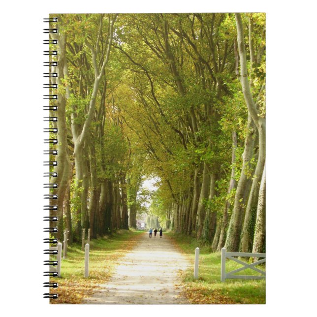Carnet photo Avenue des Arbres (Devant)
