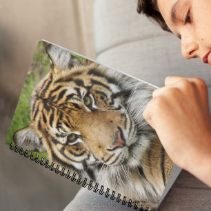 Carnet Photo Big Cat Sumatran Tiger